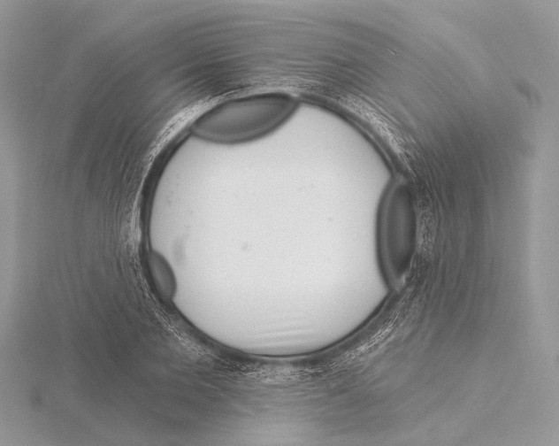 X0000115530885200912040948