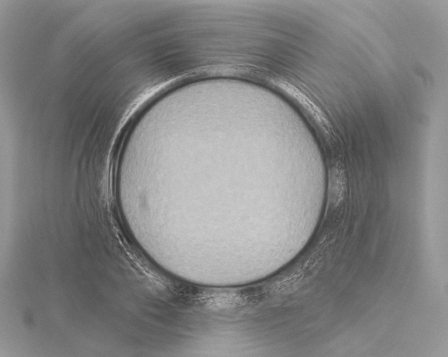 X0000115530886200912040947