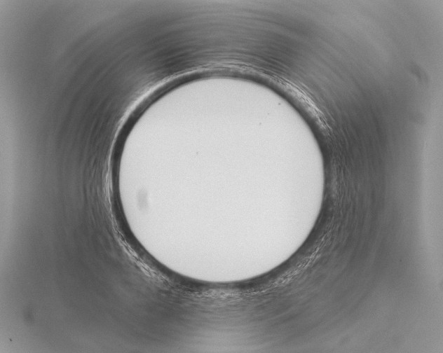 X0000115530888200912040947