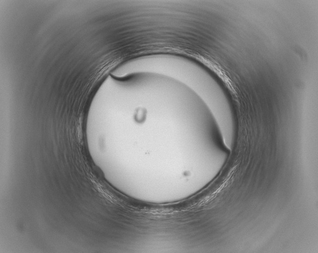 X0000115530889200912040947