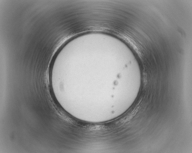 X0000115530891200912040947