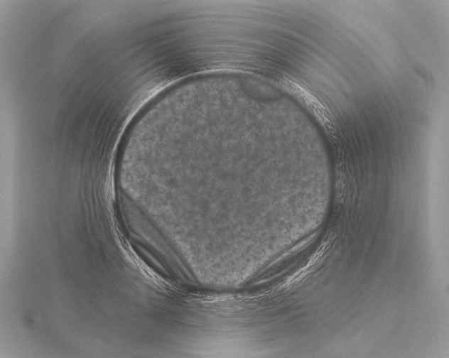 X0000115530892200912040947