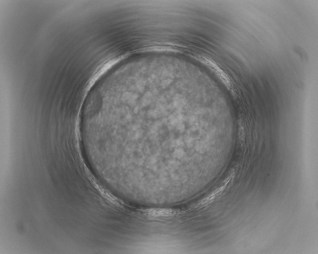 X0000115530893200912040947