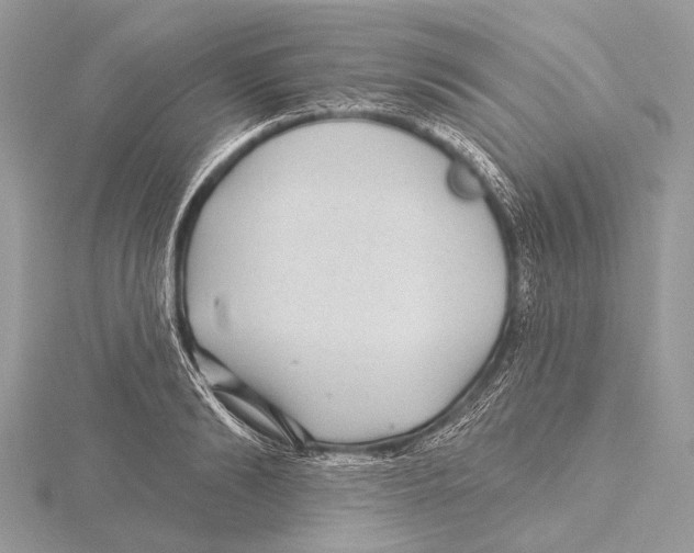 X0000115530894200912040947