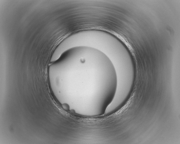 X0000115530897200912040947