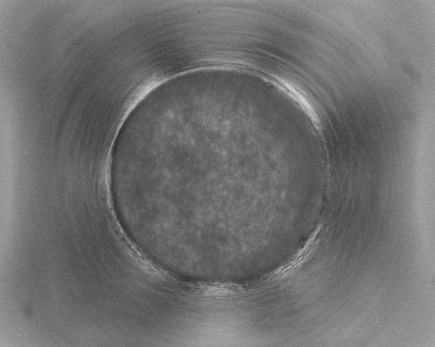 X0000115530899200912040947