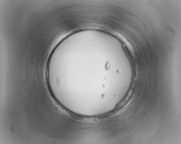 X0000115530901200912040947