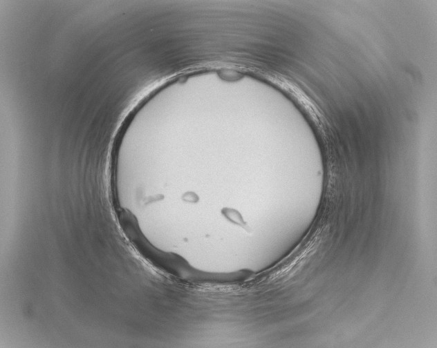 X0000115530902200912040947