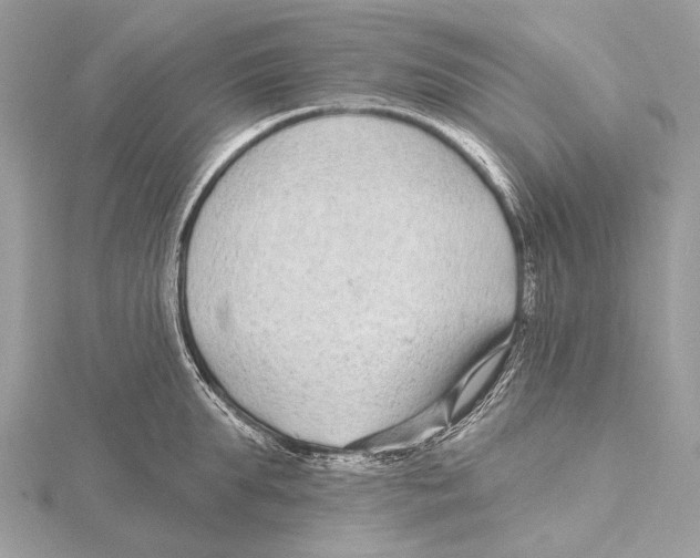 X0000115530903200912040947