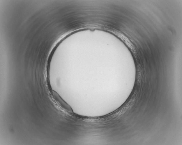 X0000115530904200912040947