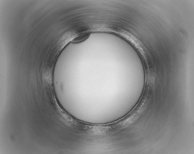 X0000115530905200912040947