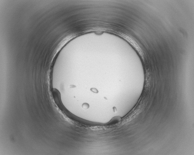 X0000115530906200912040947