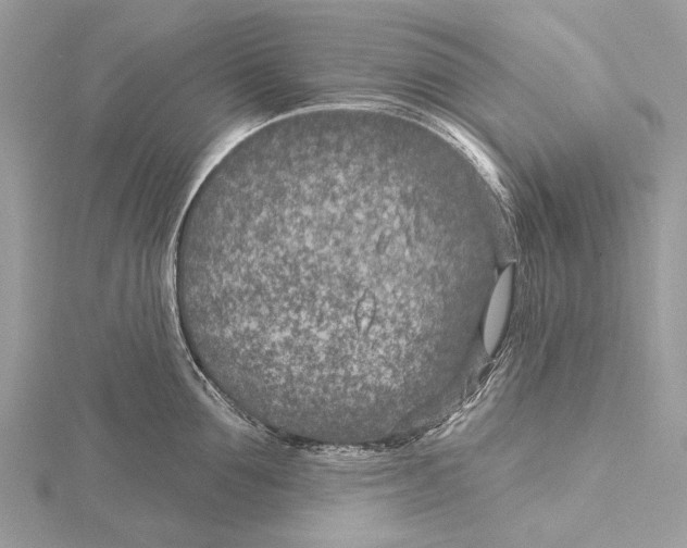 X0000115530907200912040947