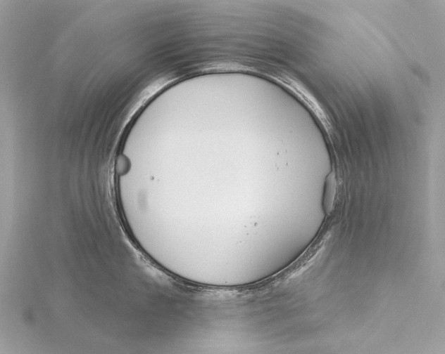 X0000115530909200912040947