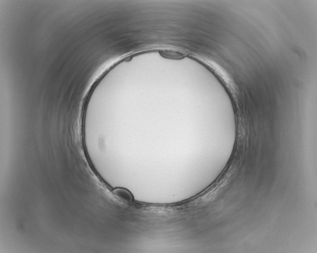 X0000115530910200912040947