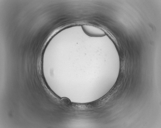 X0000115530911200912040947