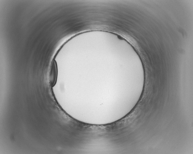 X0000115530912200912040947