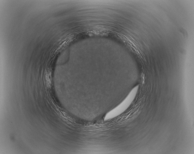 X0000115530915200912040947