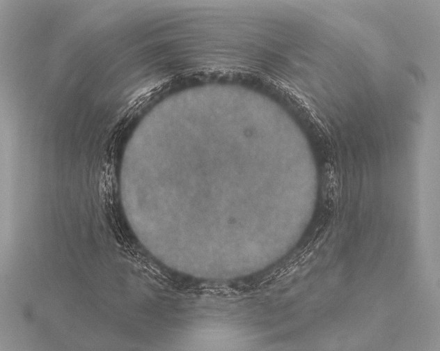 X0000115530918200912040947