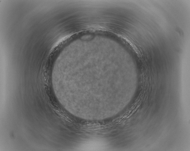 X0000115530919200912040947