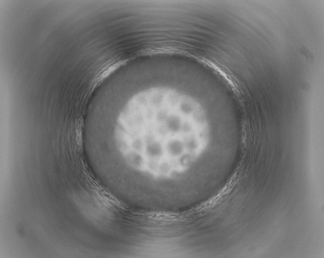 X0000115530921200912040947