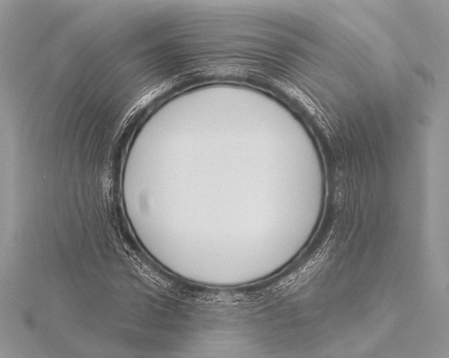 X0000115530922200912040947