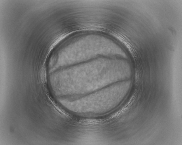 X0000115530925200912040947