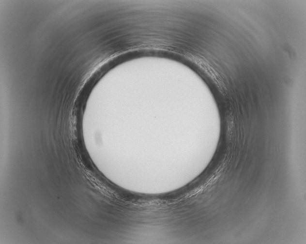 X0000115530926200912040947