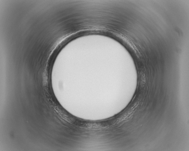 X0000115530927200912040947