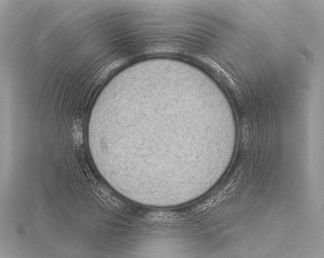 X0000115530929200912040947