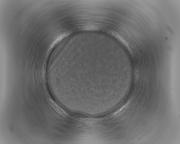 X0000115530930200912040947