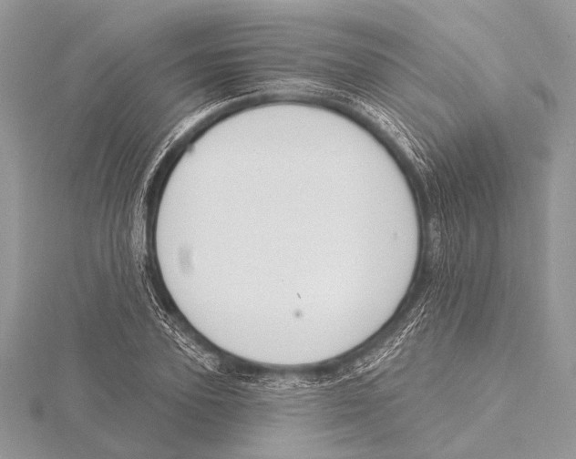 X0000115530931200912040947