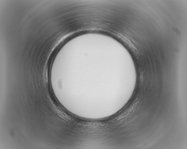 X0000115530934200912040947