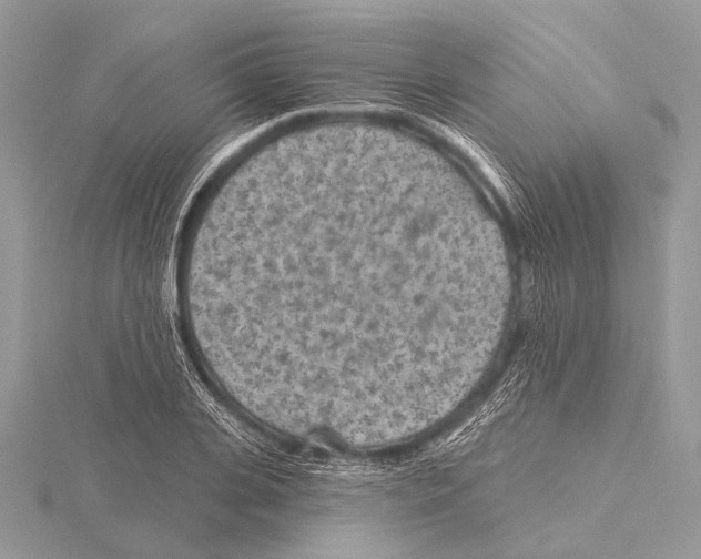 X0000115530935200912040947