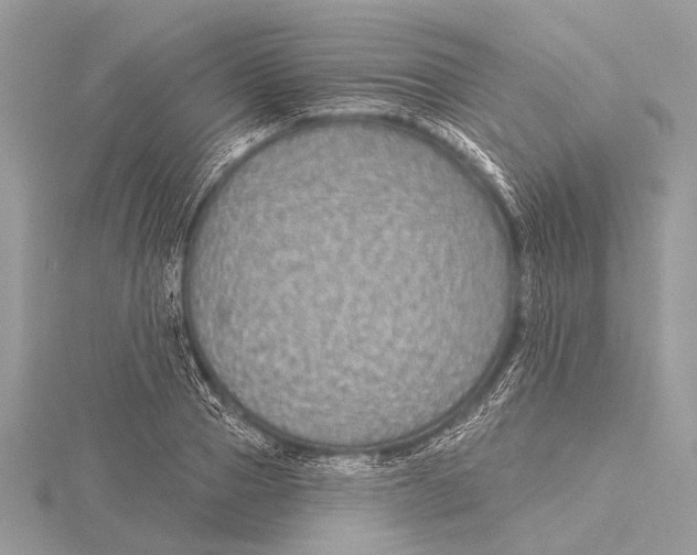 X0000115530937200912040947