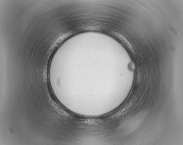 X0000115530938200912040947