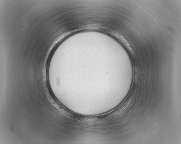 X0000115530939200912040947