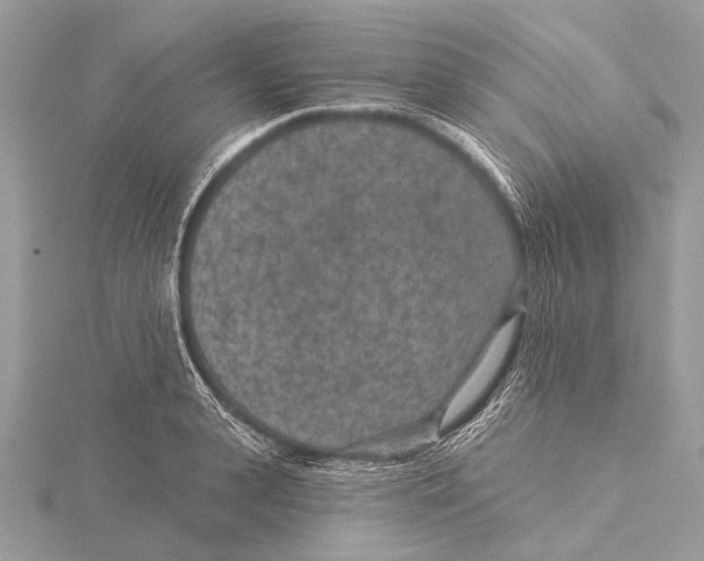 X0000115530943200912040947