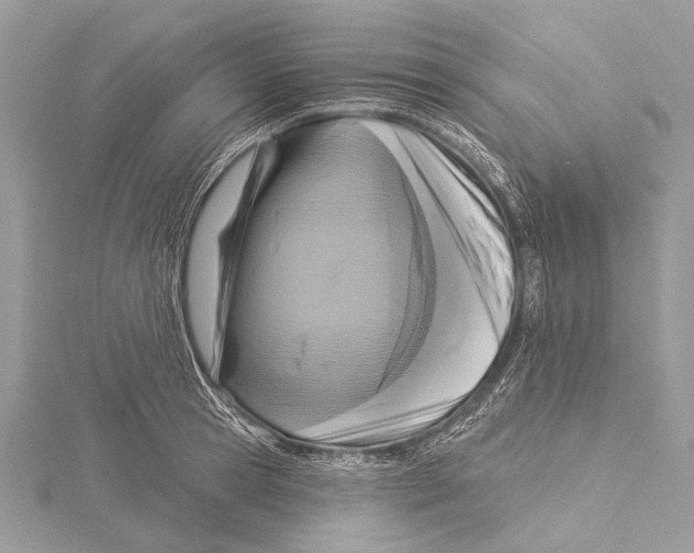 X0000115530945200912040947