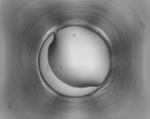 X0000115530946200912040947