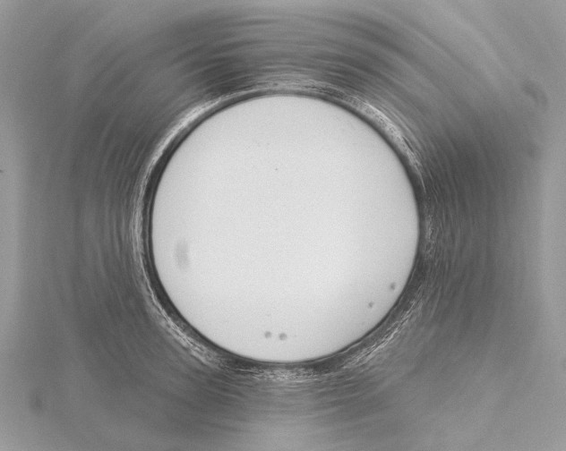 X0000115530947200912040947