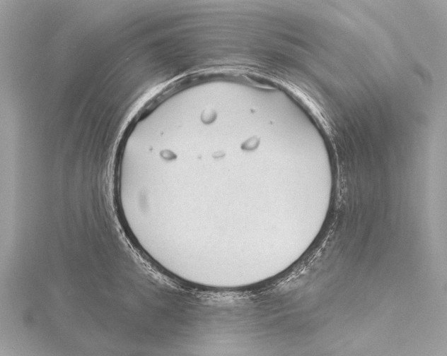 X0000115530949200912040947