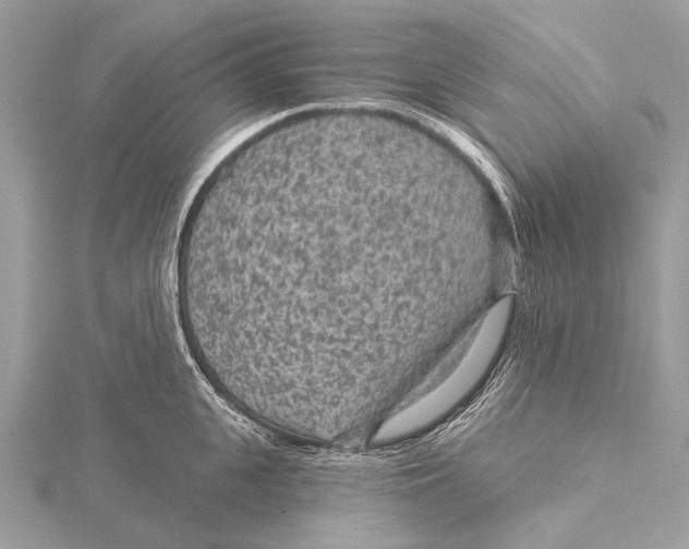 X0000115530951200912040947