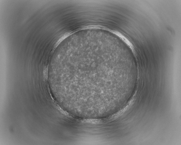 X0000115530953200912040947