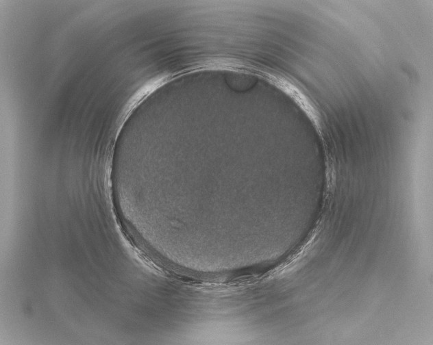 X0000115530954200912040947