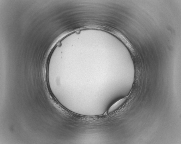 X0000115530955200912040947