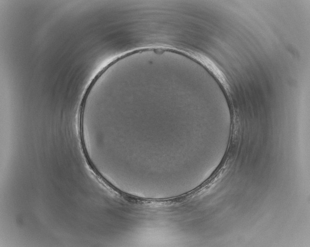 X0000115530958200912040947