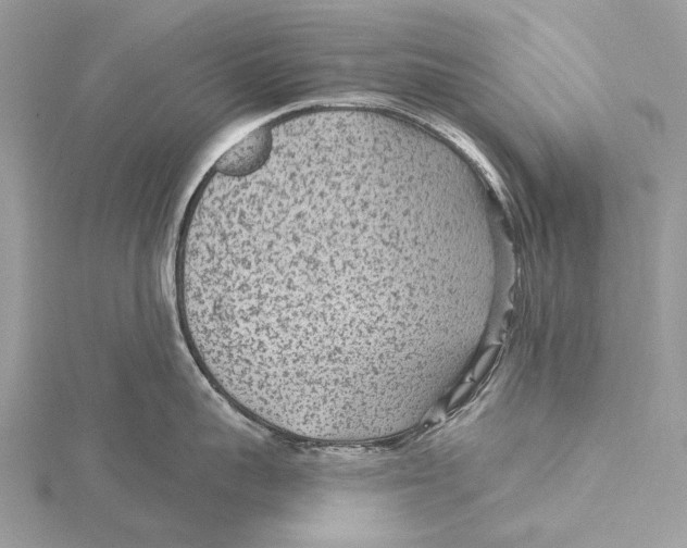 X0000115530959200912040947