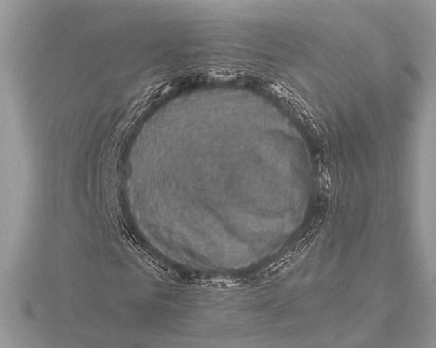 X0000115530961200912040947