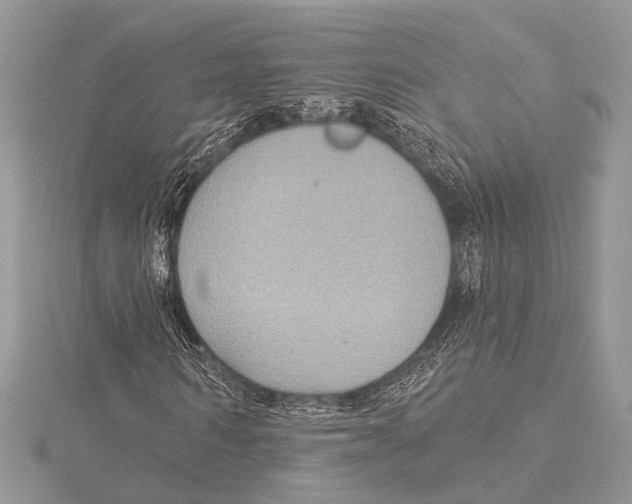 X0000115530962200912040947